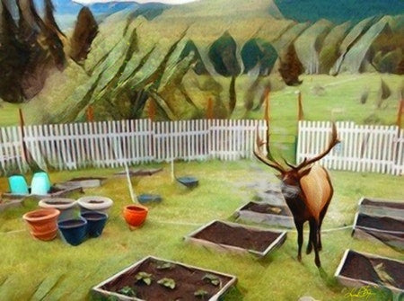 Elk Gardening